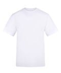 Arctic White