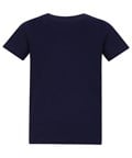 New French Navy