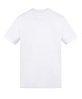Arctic White